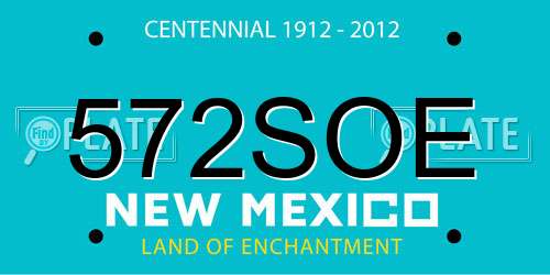 572SOE New Mexico License Plate