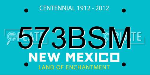 573BSM New Mexico License Plate