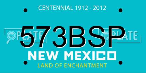 573BSP New Mexico License Plate