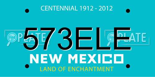 573ELE New Mexico License Plate