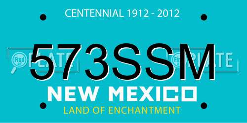 573SSM New Mexico License Plate