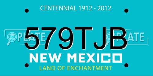 579TJB New Mexico License Plate