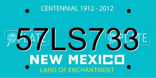 57LS733 New Mexico License Plate