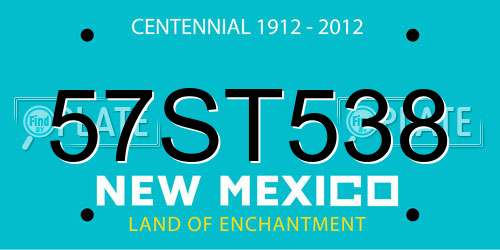 57ST538 New Mexico License Plate