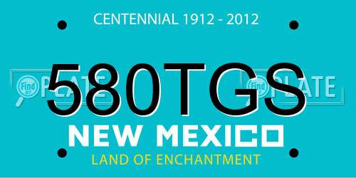 580TGS New Mexico License Plate
