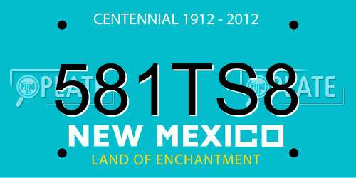 581TS8 New Mexico License Plate