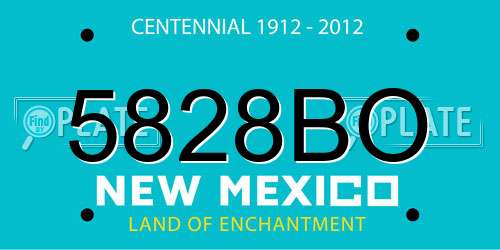 5828BO New Mexico License Plate