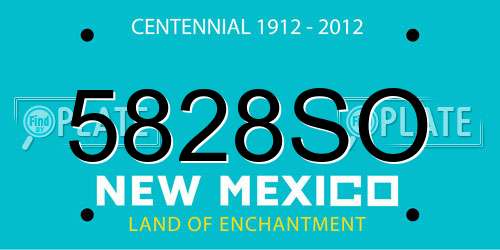 5828SO New Mexico License Plate