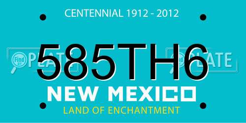 585TH6 New Mexico License Plate