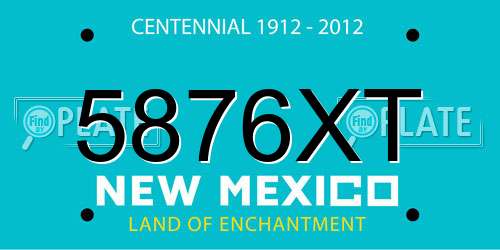 5876XT New Mexico License Plate