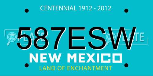 587ESW New Mexico License Plate