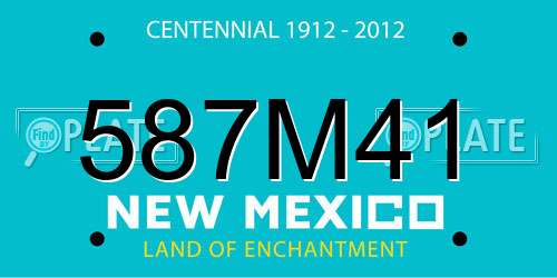 587M41 New Mexico License Plate