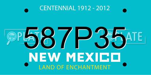 587P35 New Mexico License Plate