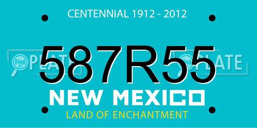 587R55 New Mexico License Plate