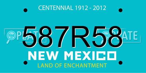 587R58 New Mexico License Plate