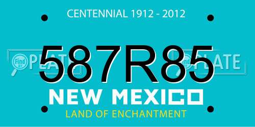 587R85 New Mexico License Plate