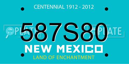 587S80 New Mexico License Plate