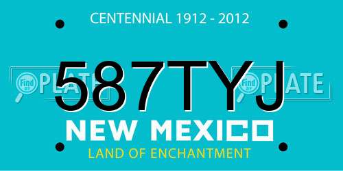 587TYJ New Mexico License Plate