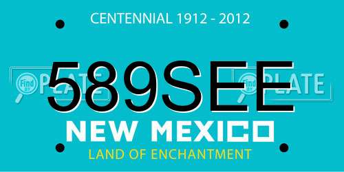 589SEE New Mexico License Plate