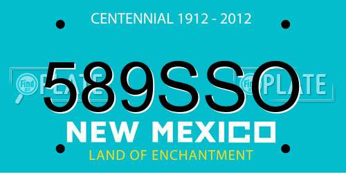 589SSO New Mexico License Plate