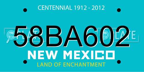 58BA602 New Mexico License Plate