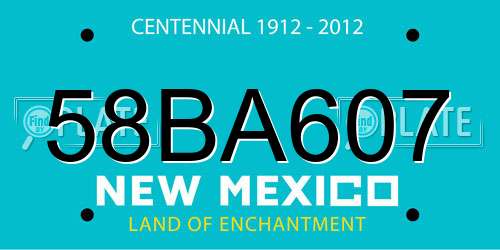 58BA607 New Mexico License Plate