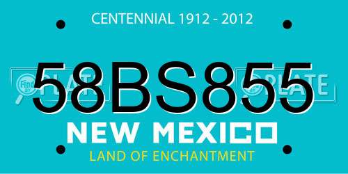 58BS855 New Mexico License Plate