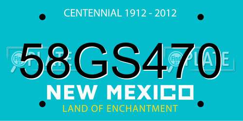 58GS470 New Mexico License Plate