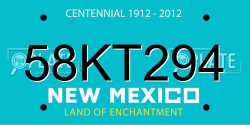 58KT294 New Mexico License Plate