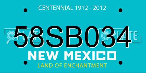 58SB034 New Mexico License Plate