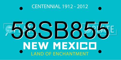58SB855 New Mexico License Plate