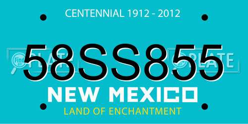 58SS855 New Mexico License Plate