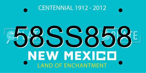 58SS858 New Mexico License Plate