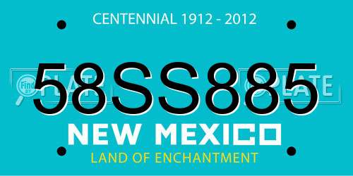 58SS885 New Mexico License Plate