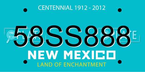 58SS888 New Mexico License Plate