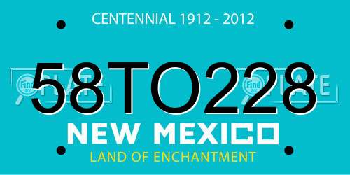 58TO228 New Mexico License Plate