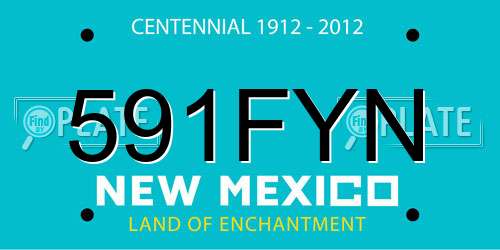 591FYN New Mexico License Plate