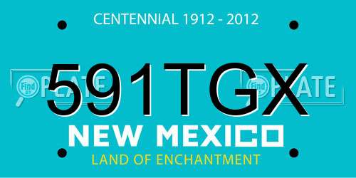 591TGX New Mexico License Plate
