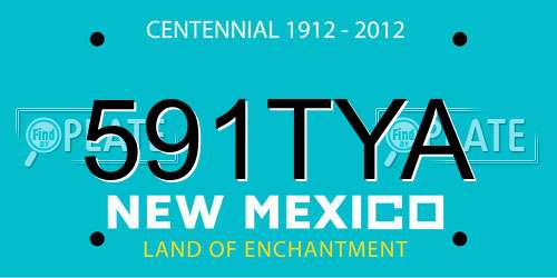 591TYA New Mexico License Plate