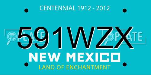 591WZX New Mexico License Plate