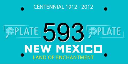593 New Mexico License Plate