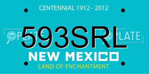 593SRL New Mexico License Plate