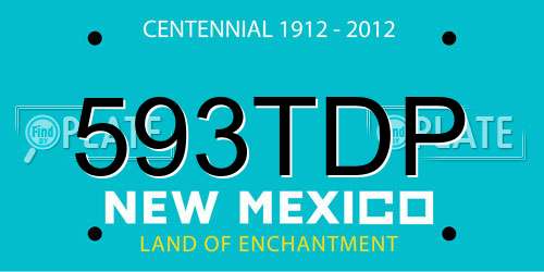 593TDP New Mexico License Plate
