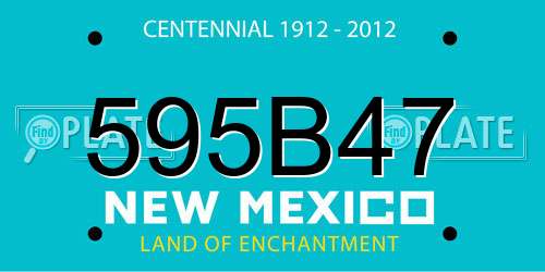 595B47 New Mexico License Plate