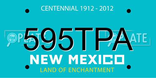 595TPA New Mexico License Plate
