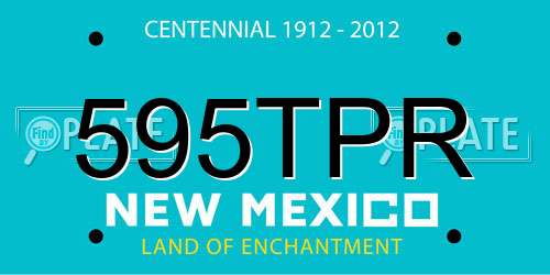 595TPR New Mexico License Plate