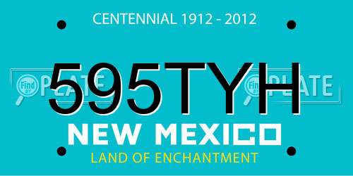 595TYH New Mexico License Plate