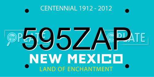 595ZAP New Mexico License Plate