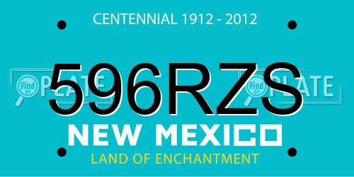 596RZS New Mexico License Plate