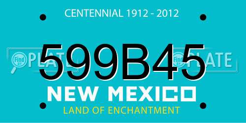 599B45 New Mexico License Plate
